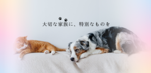 Five friends are Terrorized by an Entity Mysterious Supernatural